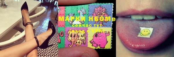 гидра Надым