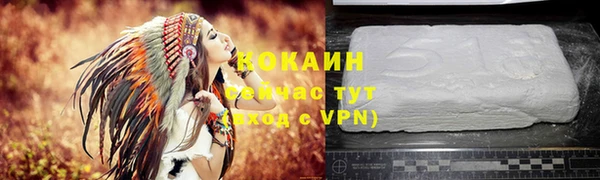 гидра Надым
