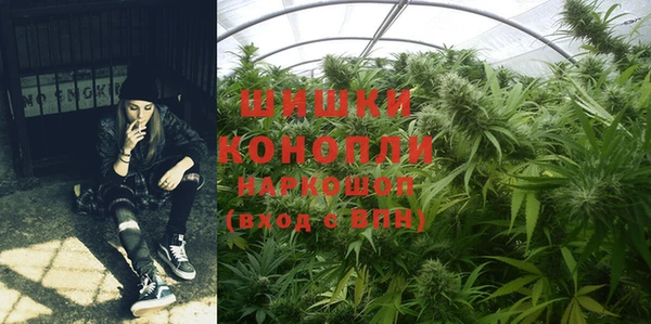 гидра Надым