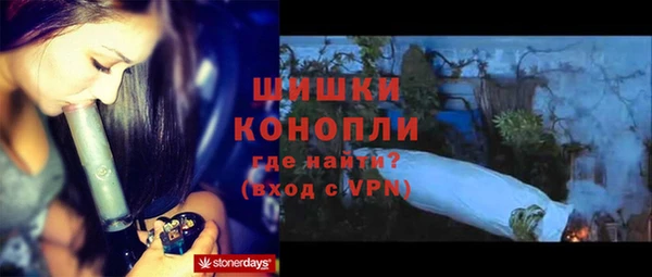 гидра Надым
