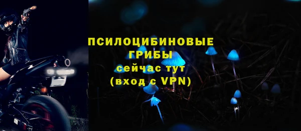 гидра Надым