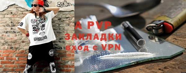 гидра Надым