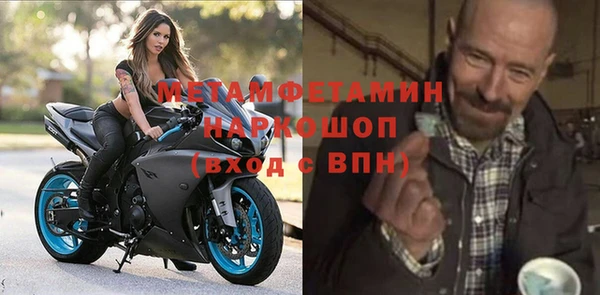 гидра Надым