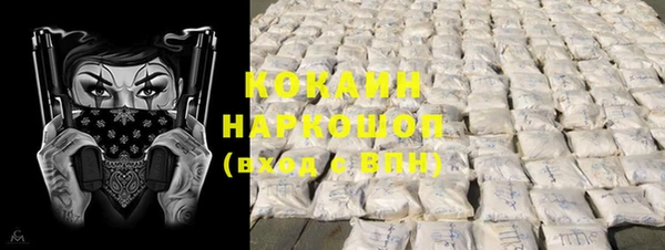 гидра Надым