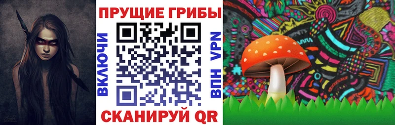 Псилоцибиновые грибы Psilocybe  Купить  Зверево 