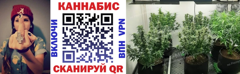Канабис сатива  Купить закладки  Зверево 